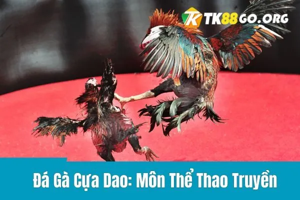 Đá Gà Cựa Dao